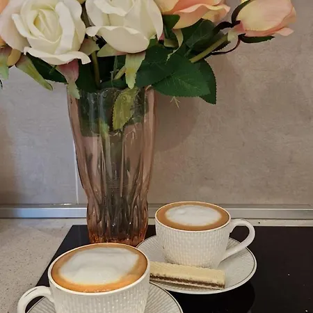 Park Belgrade Waterfront Appartement Sajmiste